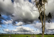开云体育下载-梅赛德斯横扫阿斯顿马丁，阿隆索关键制胜的简单介绍