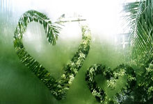 开云体育下载-梅赛德斯横扫阿斯顿马丁，阿隆索关键制胜的简单介绍