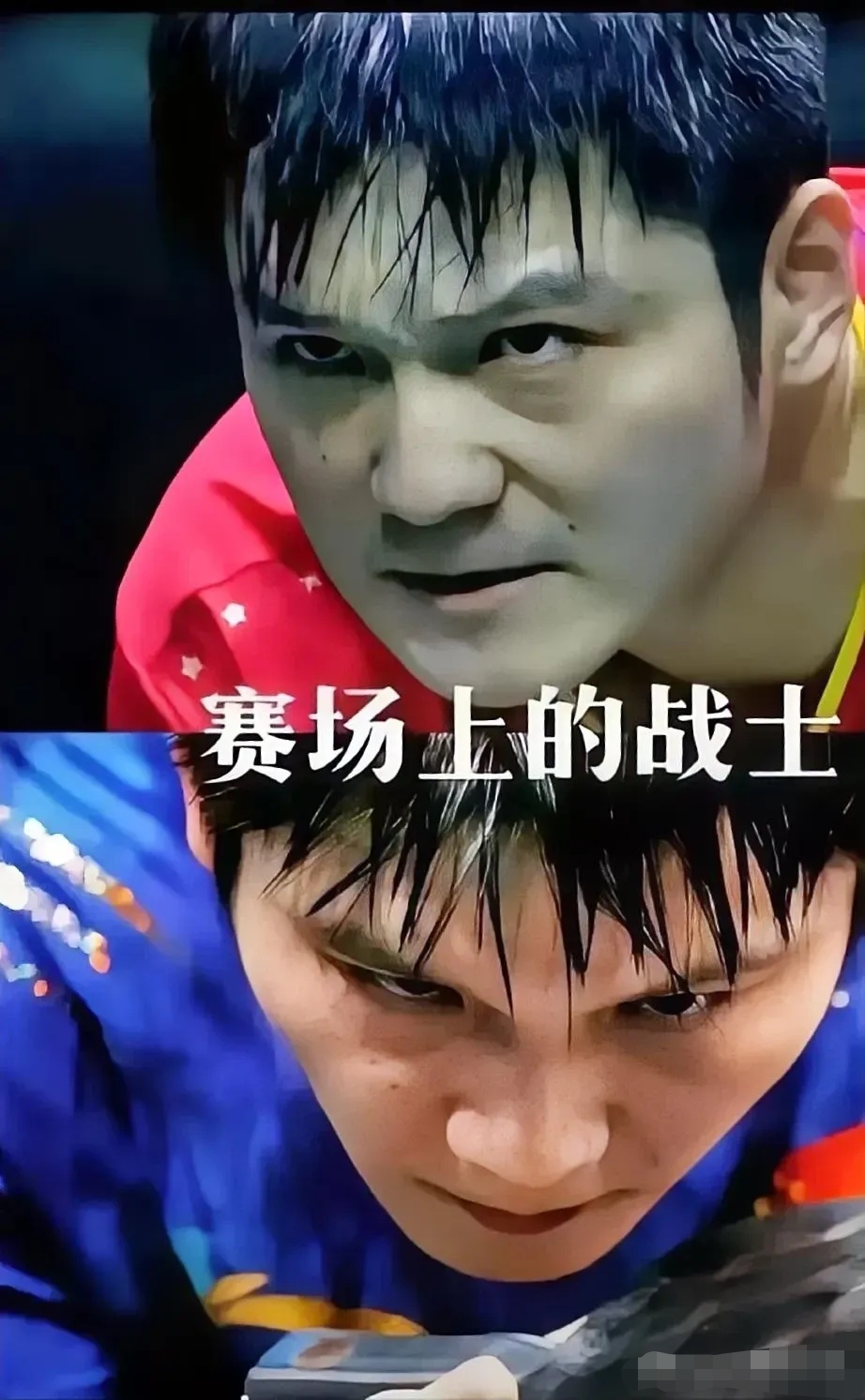 关于法国队翻盘葡萄牙队，樊振东刷新纪录的信息