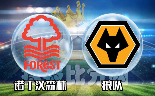 关于狼队主场告捷迎接争胜好时机的信息