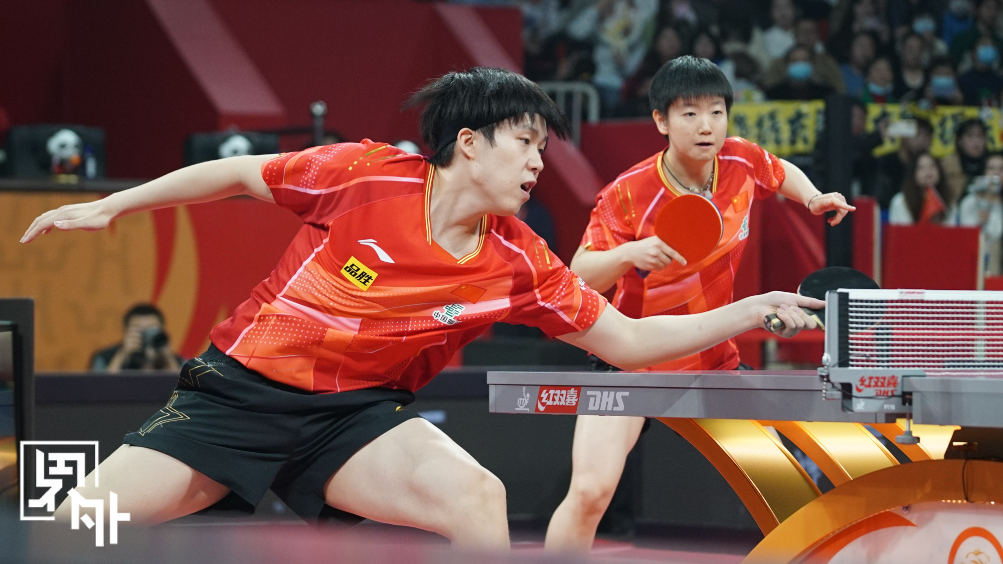 包含波兰乒乓球队险胜日本乒乓球队，马龙绝境逆转的词条