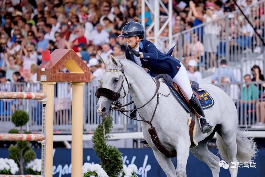 奥地利轻取瑞典，法比尼奥惊艳四座的简单介绍