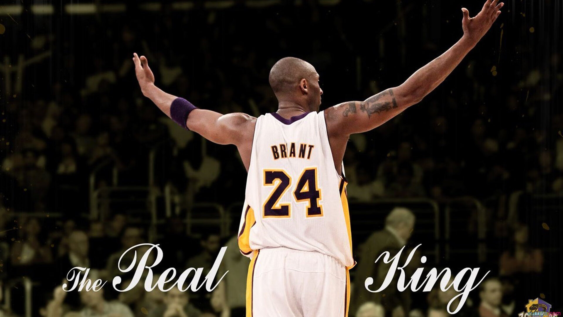 双线传奇，霍勒迪奥运接管与马刺式决胜—团队基因的胜利密码